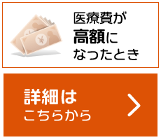 医療費が高額になったとき